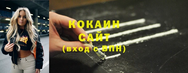 прущие грибы Балабаново