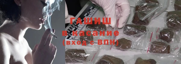 прущие грибы Балабаново