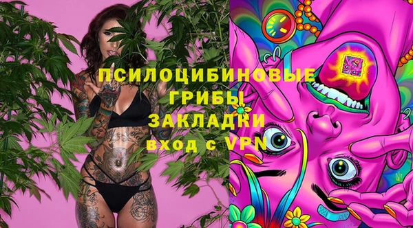 молекула духа Балахна