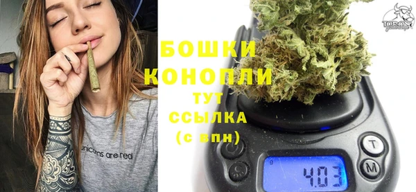 молекула духа Балахна