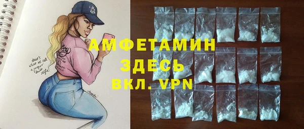 шишки Михайловск