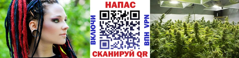 Марихуана THC 21%  где найти наркотики  Старая Купавна 